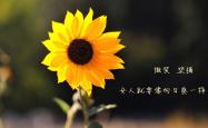 -里斯本之夜，宿命回响，当罗德里戈的桑巴之舞，终结枫叶之国的世界杯狂想