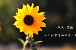 -里斯本之夜，宿命回响，当罗德里戈的桑巴之舞，终结枫叶之国的世界杯狂想