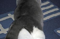 -轻舟已过万重山，当文班亚马在CBA卷起新浪潮