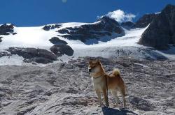 英雄联盟总决赛门票-绝境狂澜，当奥斯梅恩扼住命运的咽喉，勒沃库森如何从地狱边缘抢回呼吸权？