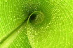 英雄联盟总决赛直播-篮网淘汰浙江，恩比德欧冠称王，当平行宇宙的篮球规则崩塌