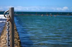 英雄联盟总决赛直播-深海鹈鹕狩猎雷霆之鱼，米切尔的猎手时刻