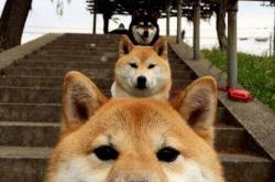 英雄联盟总决赛赛程-关键先生诞生！马刺险胜老鹰，新生代巨星复制字母哥时刻