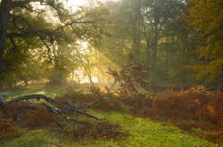 英雄联盟总决赛时间-没有巴尔韦德的巴尔韦德公式，亚特兰大的钢铁军团如何复刻皇马基因，强势击沉阿森纳