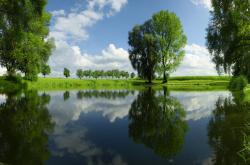 LOL赛事-三分球熄灭引擎轰鸣，当杰伦格林接管了F1年度争冠之夜