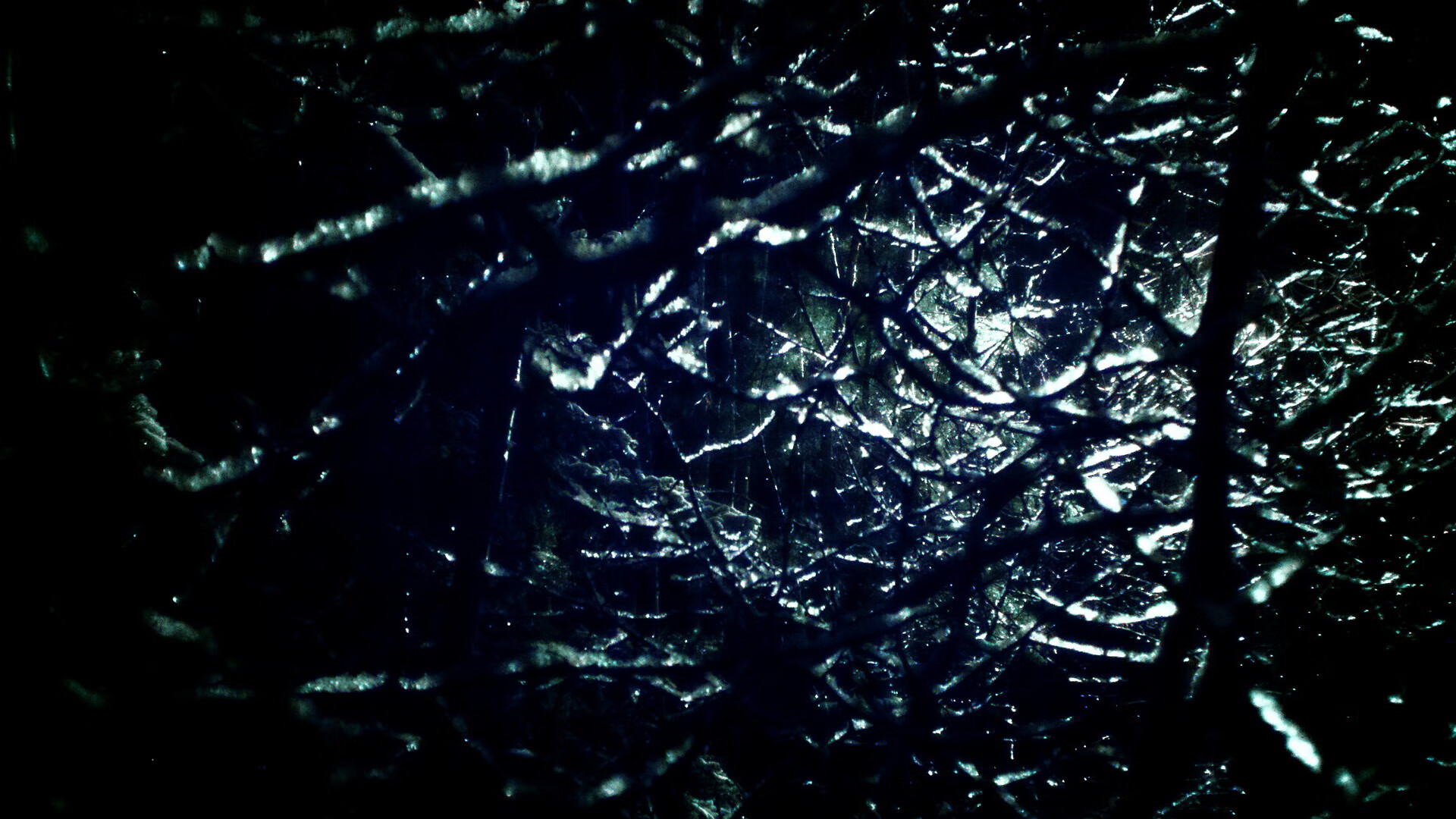 跨越赛场的指挥官,赖斯映照胜利基因