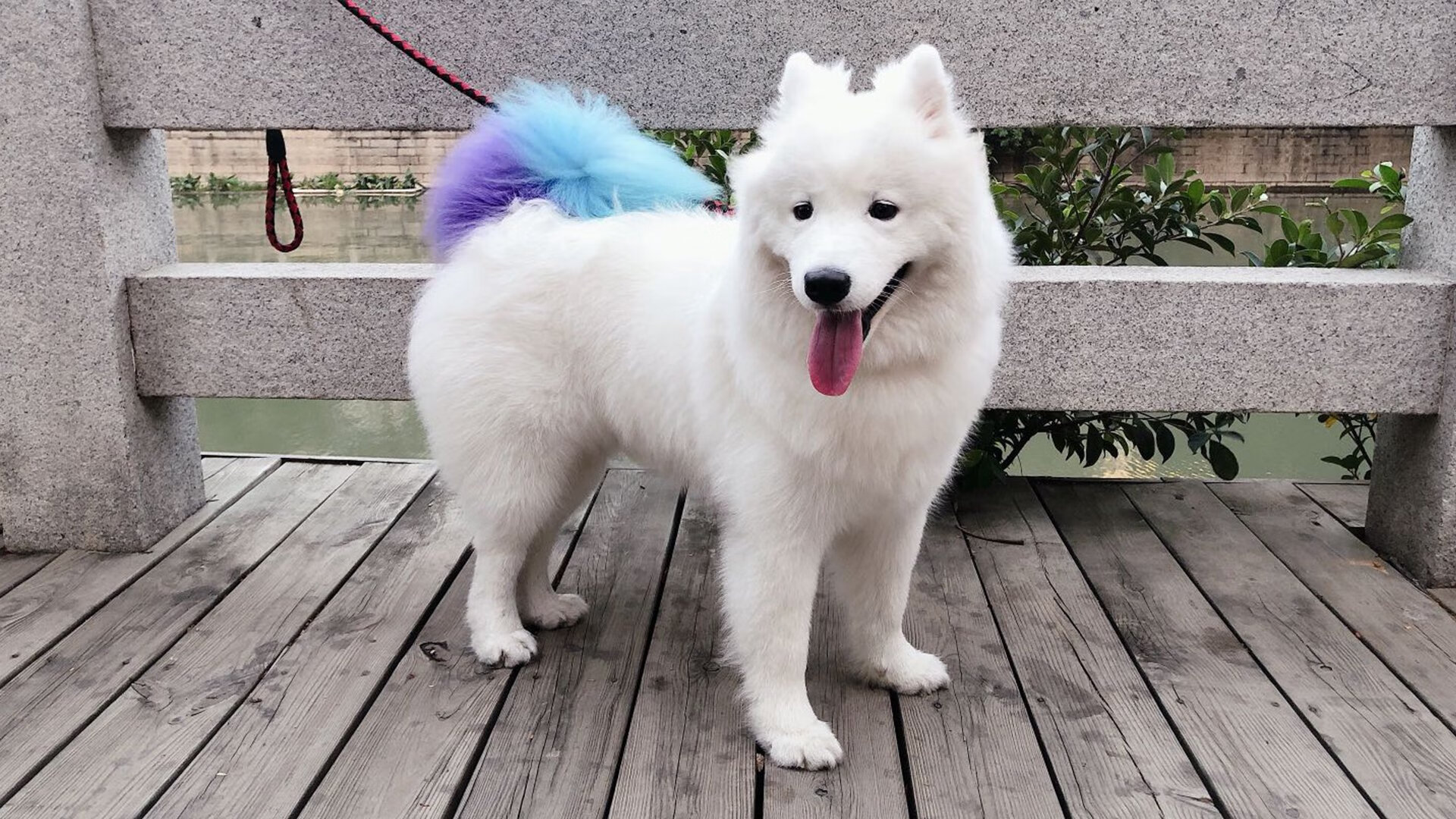 苍穹为证，世界排名争夺战之夜，加克波一球定江山