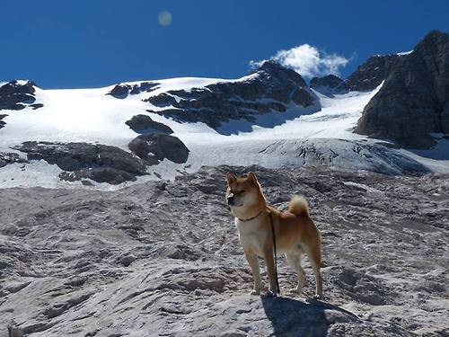 绝境狂澜，当奥斯梅恩扼住命运的咽喉，勒沃库森如何从地狱边缘抢回呼吸权？