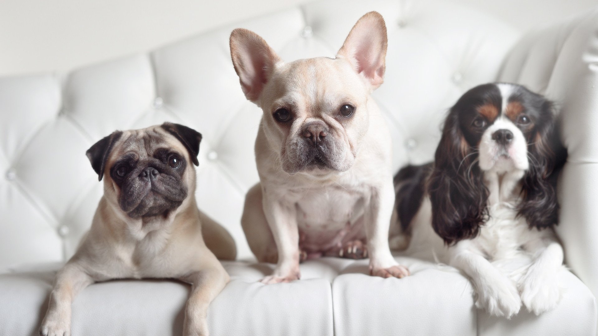 今夜,杜兰特的光剑切开F1赛道