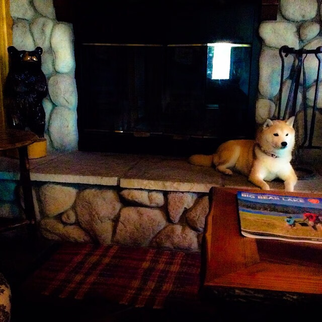 当冷板凳燃起火焰,布克与那个改写命运的夜晚