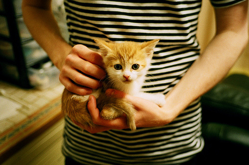 挪威驯牛师与关键先生,当厄德高的节奏哲学遇上阿尔瓦雷斯的致命一击