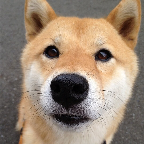 戈壁风暴席卷赛场,新疆队终结火箭升空,班凯罗式关键先生诞生