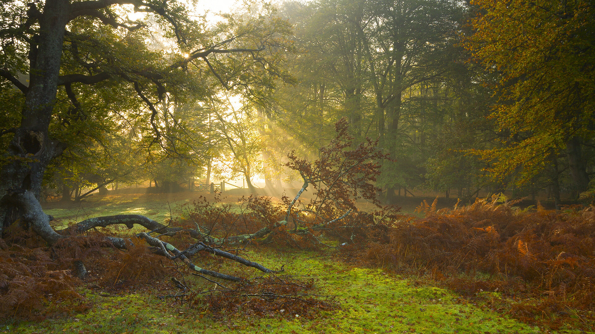没有巴尔韦德的巴尔韦德公式,亚特兰大的钢铁军团如何复刻皇马基因,强势击沉阿森纳