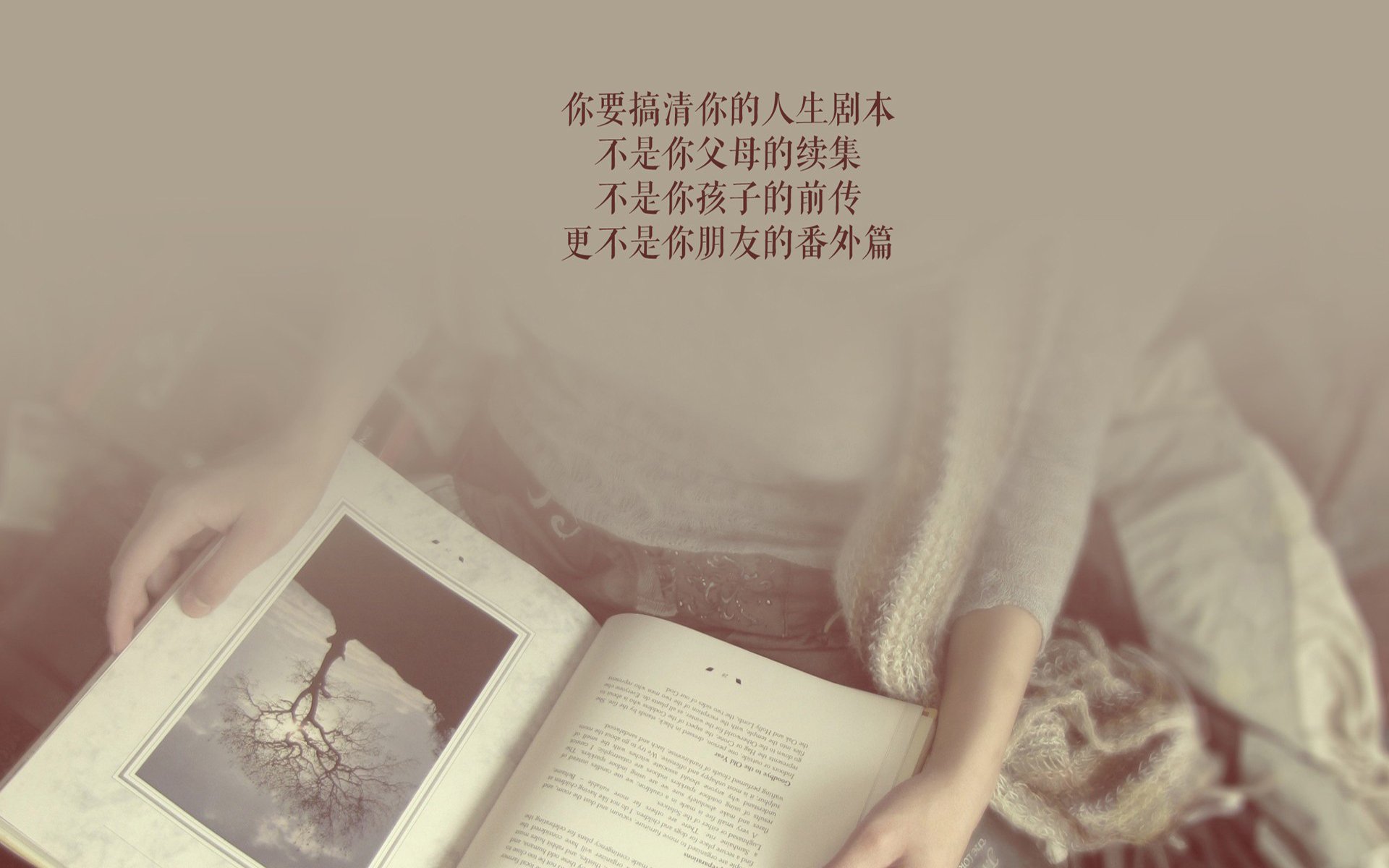 孤胆英雄与桑巴狂舞,2026世界杯关键战,德布劳内致命一击背后的唯一性
