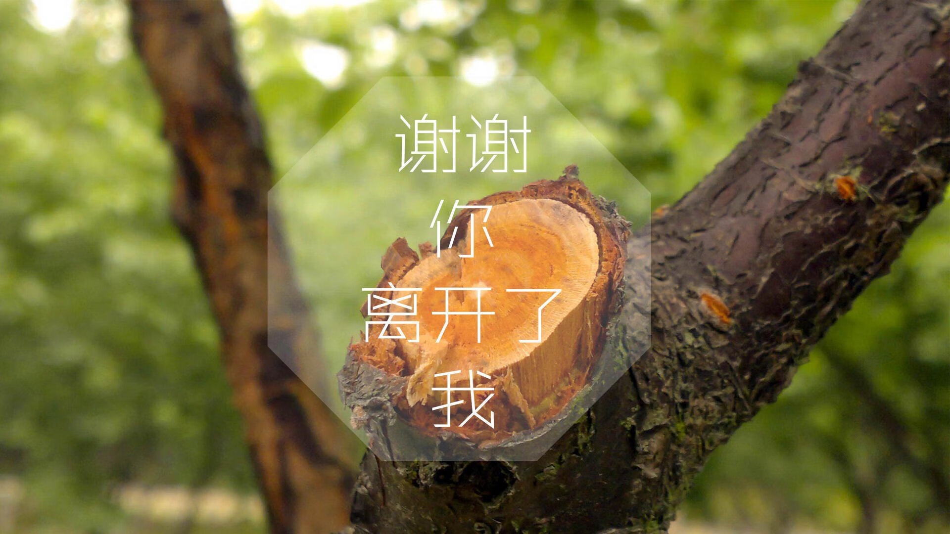 沙漠之鹰刺穿北欧冰原,伊朗中场铁壁铸就2026世界杯B组惊天一役,坎塞洛致命一击改写历史