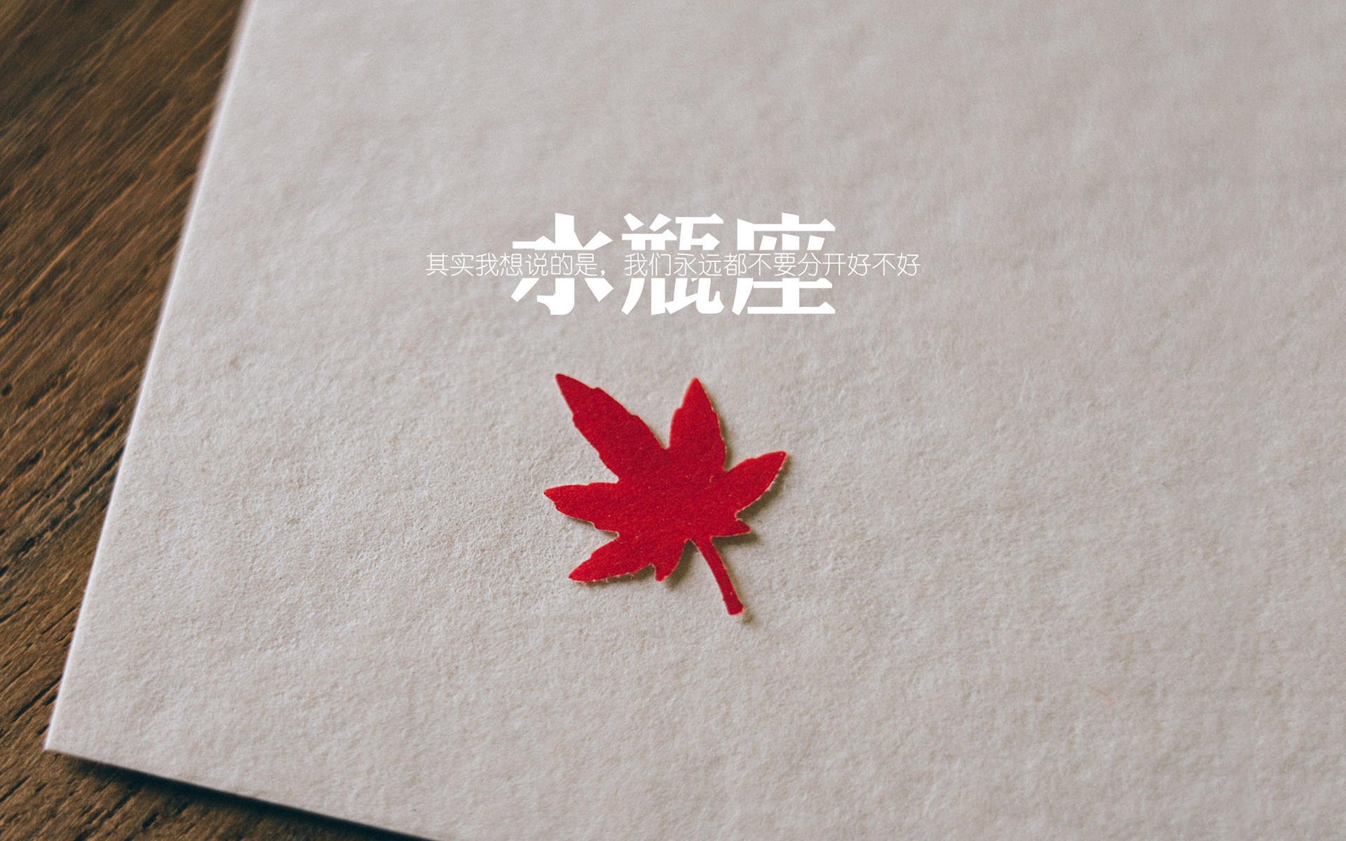 震撼柏林,2026世界杯上演豪门惨案,奥地利闪电四击德意志,奥斯梅恩独造三球改写足坛格局