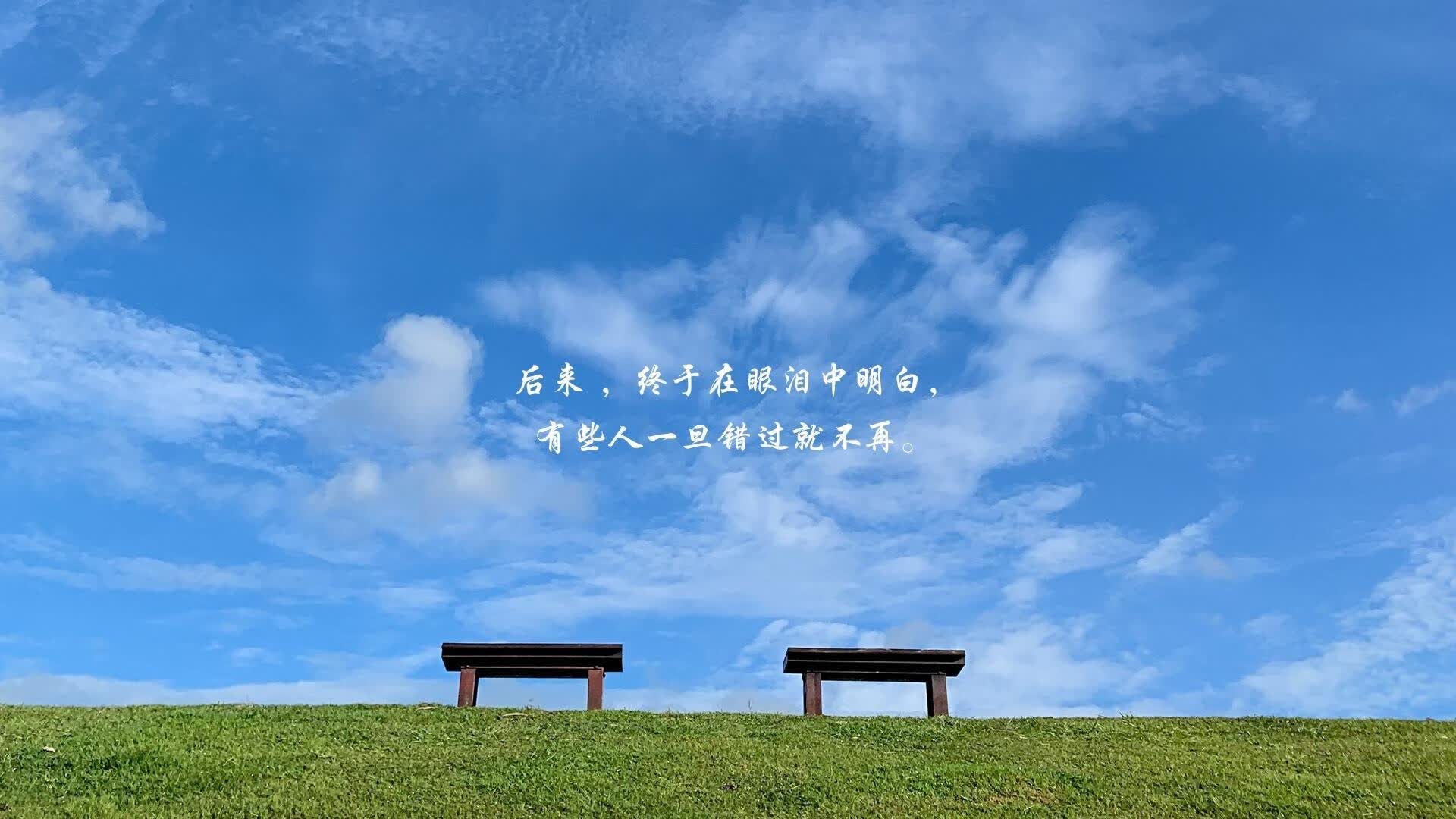 蓝色风暴在奥斯陆折戟，挪威人的战吼，如何改写2026世界杯D组的宿命剧本